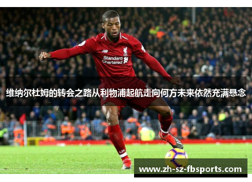 维纳尔杜姆的转会之路从利物浦起航走向何方未来依然充满悬念