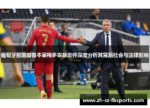 葡萄牙前国脚鲁本塞梅多家暴案件深度分析其背后社会与法律影响